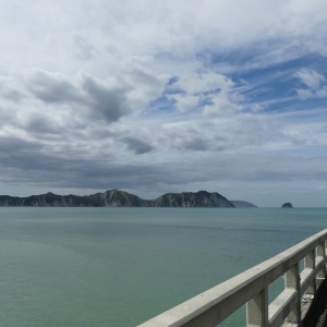 2219-Tolaga-Bay