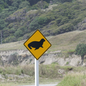 2258-Te-Araroa