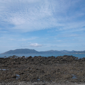 2279-Waihau-Bay