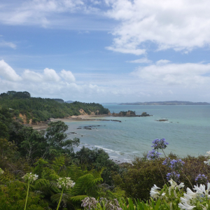 2399-Orere-Point