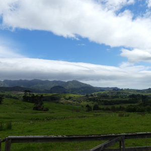 267-Rawene-Waimanaku