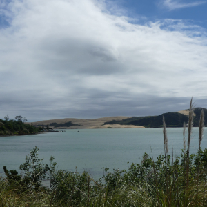 268-Rawene-Waimanaku