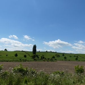 349-Matamata-Hobbiton