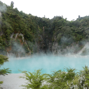 416-Waimangu-Scenic-Res