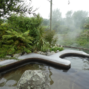 431-Waikite Thermal Pools