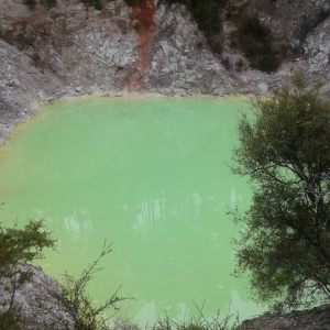 463-Wai-O-Tapu Thermal Wonderland 