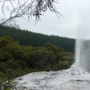 474-Wai-O-Tapu Thermal Wonderland 