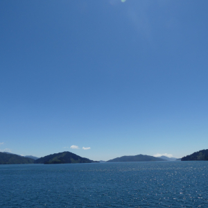 568-Wellington-Picton