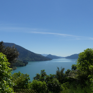 577-Havelock