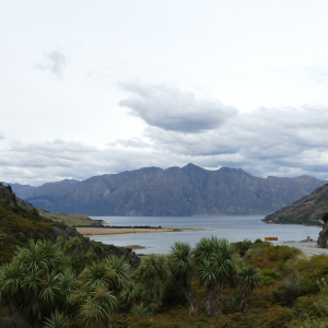 952-Lake-Hawea