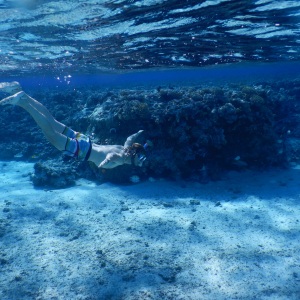 12-Beveridge-Reef