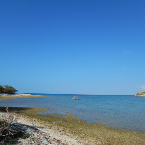 115-Ile-Temaye