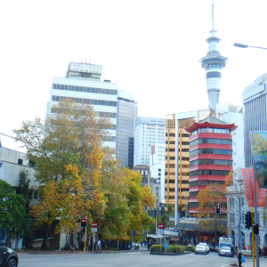 815-Auckland