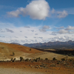 981-Flinders-Ranges