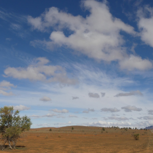 984-Flinders-Ranges