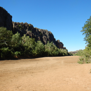 1577-Windjana