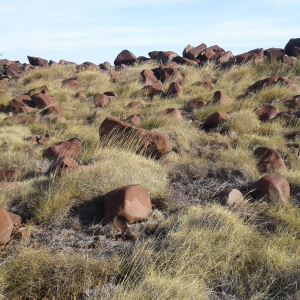 1773-Karratha-Tankhill
