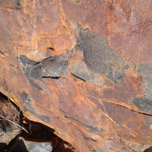 1784-Karratha-Tankhill
