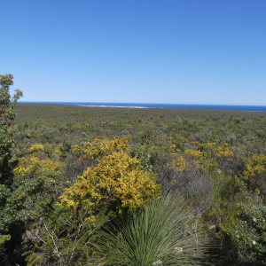 2106-Dongara-bis-Perth
