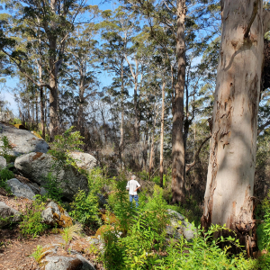 192-Mount Frankland