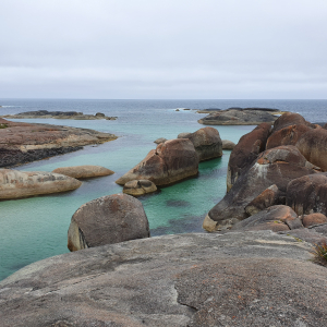 227-Elephant-Rocks