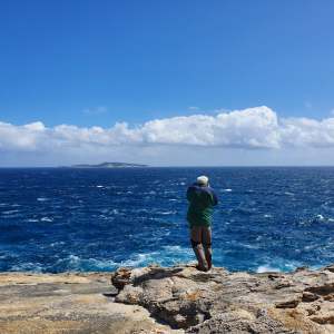 302-Blowhole