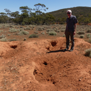 548-Gawler-Ranges