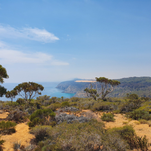 105-Cape-Borda
