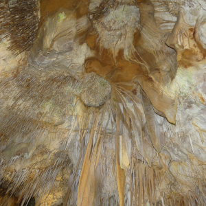 95-Tantanoola-Cave