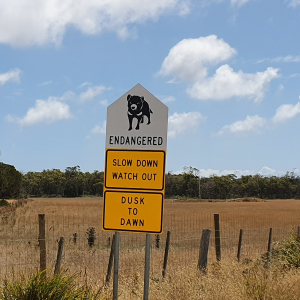 44-Musselroe-Bay
