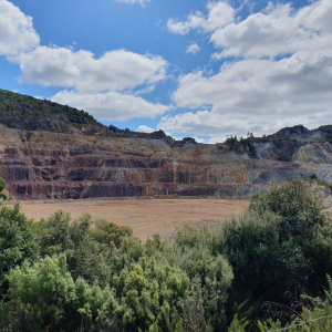 318-Mine-Waratah