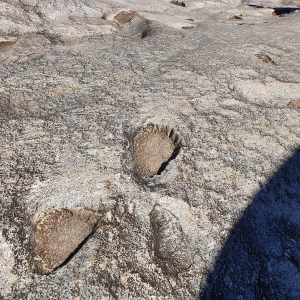 53-Granite Gorge-NP