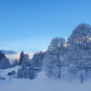 175-Grindelwald
