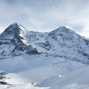 187-Grindelwald
