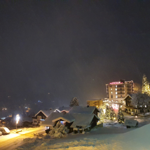 192-Grindelwald