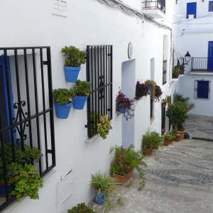 234-Frigiliana