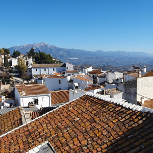 255-Comares