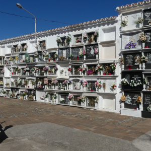 274-Comares