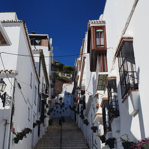 291-Mijas