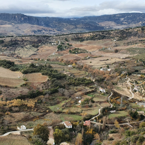 363-Ronda