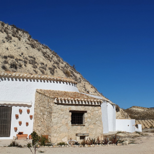 41-Orce