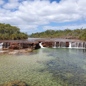 119-Fruitbats-Falls