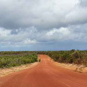 154-PDR-Cape-Yorke