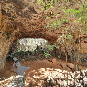 17-Undara-National Park
