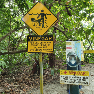 211-Cape-Tribulation