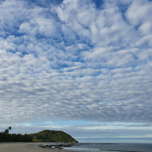 215-Cape-Tribulation