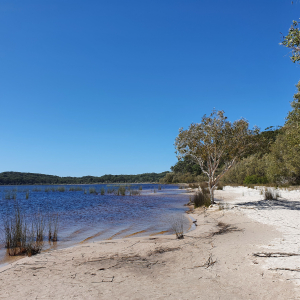 304-Fraser-Island
