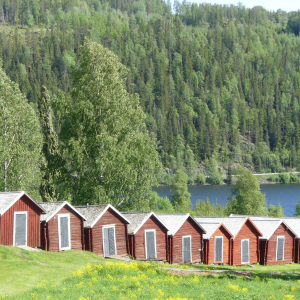 254-Skuleskogens_nationalpark