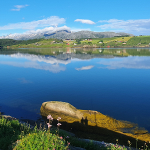 403-Kvitneset_Camping