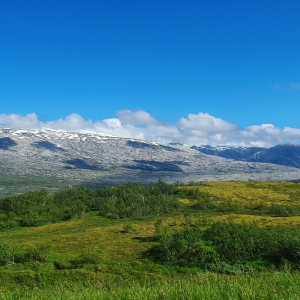 409-Leira-bis-MoIRana